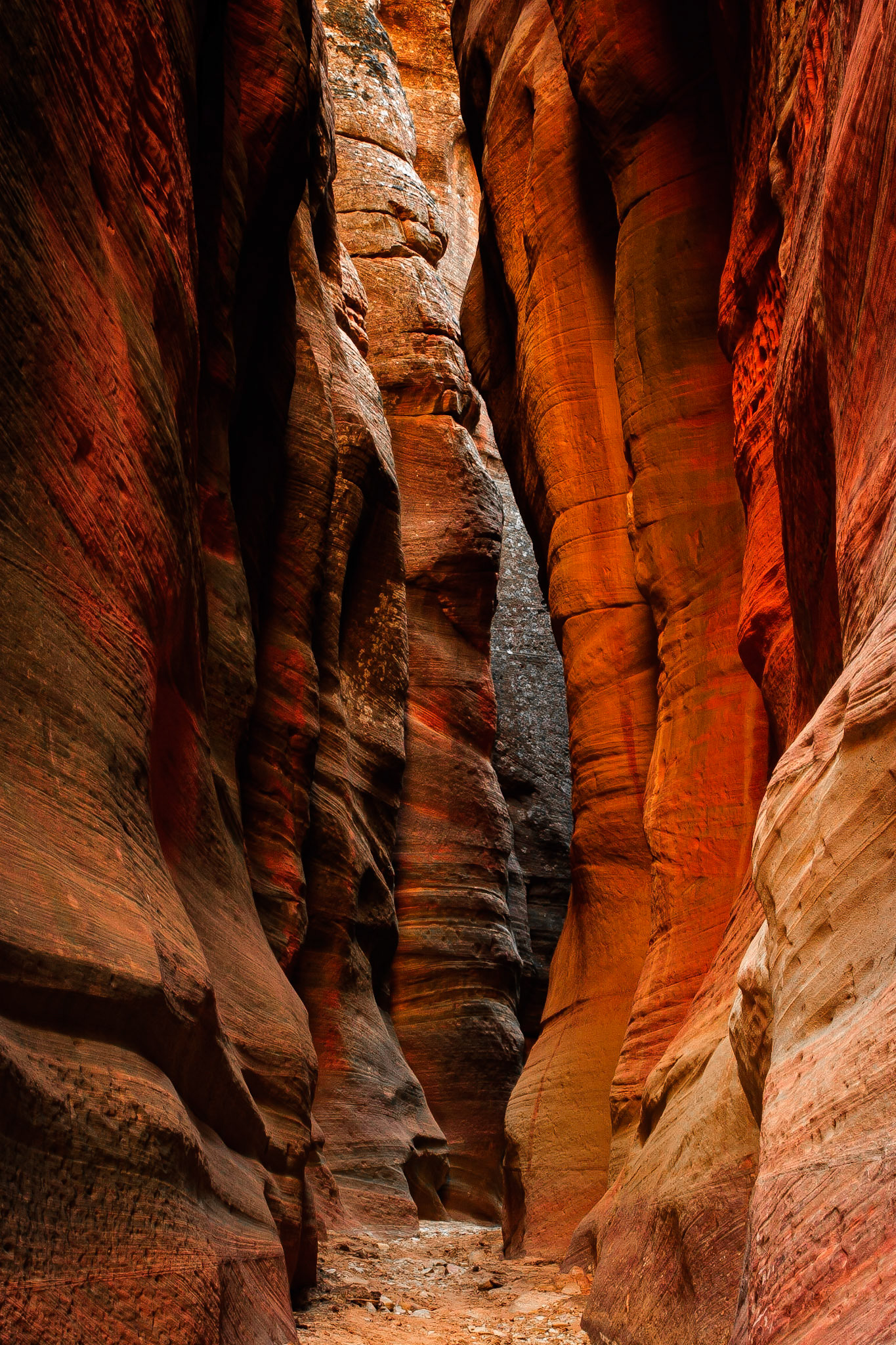 Slot Canyon In Zion