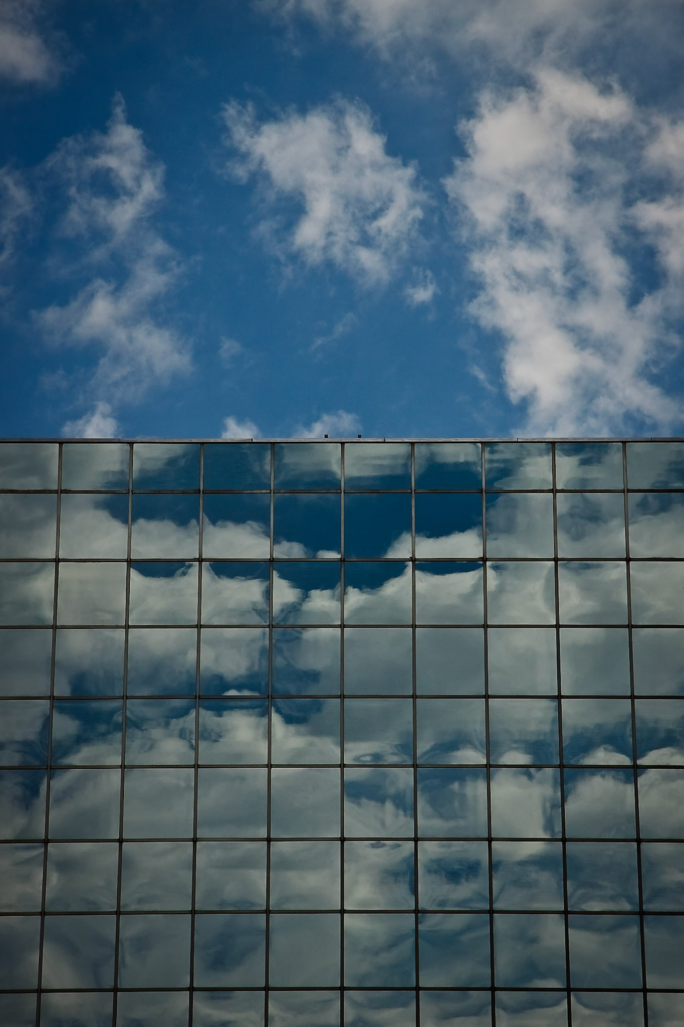 Reflected Sky