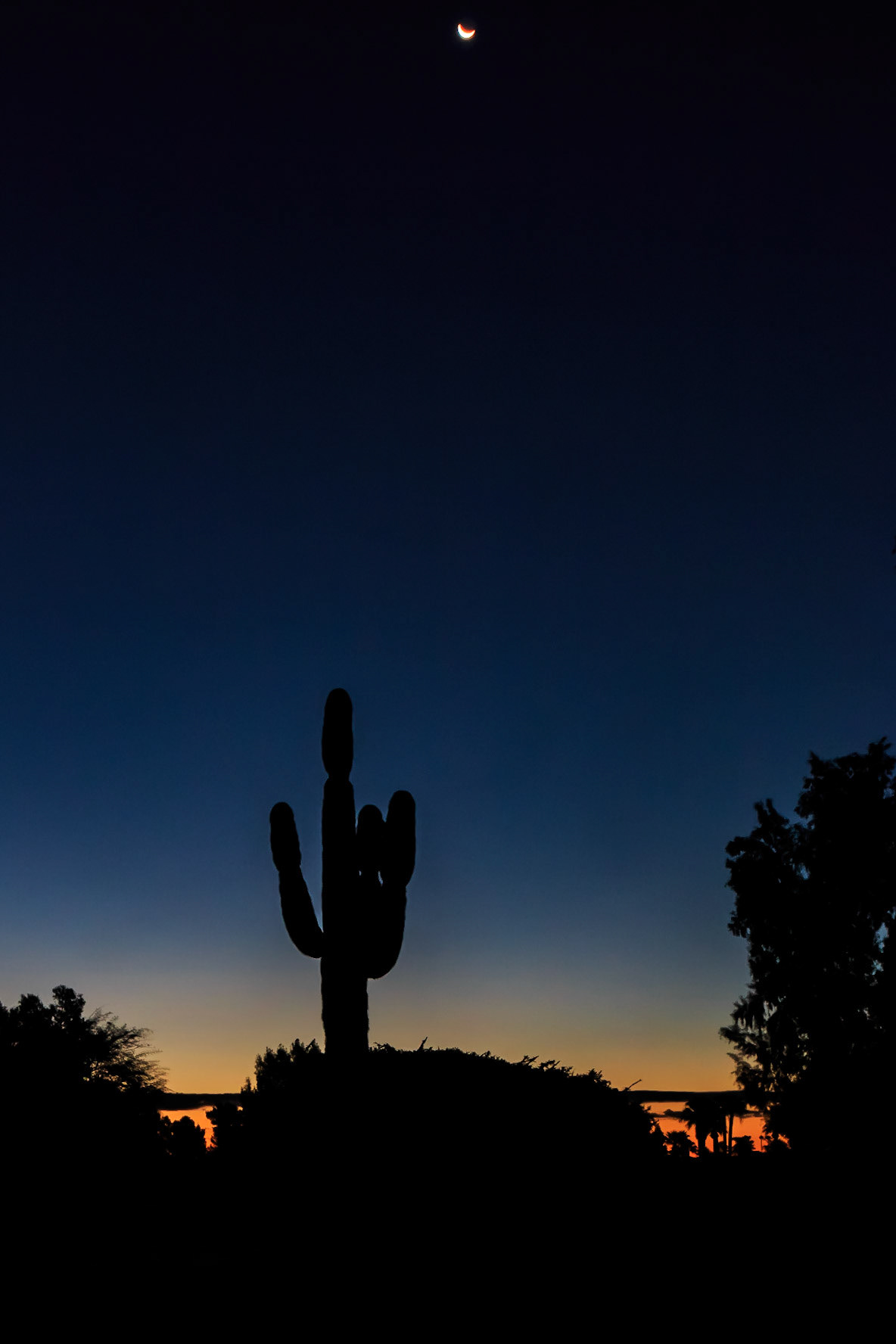 Sonoran Moon