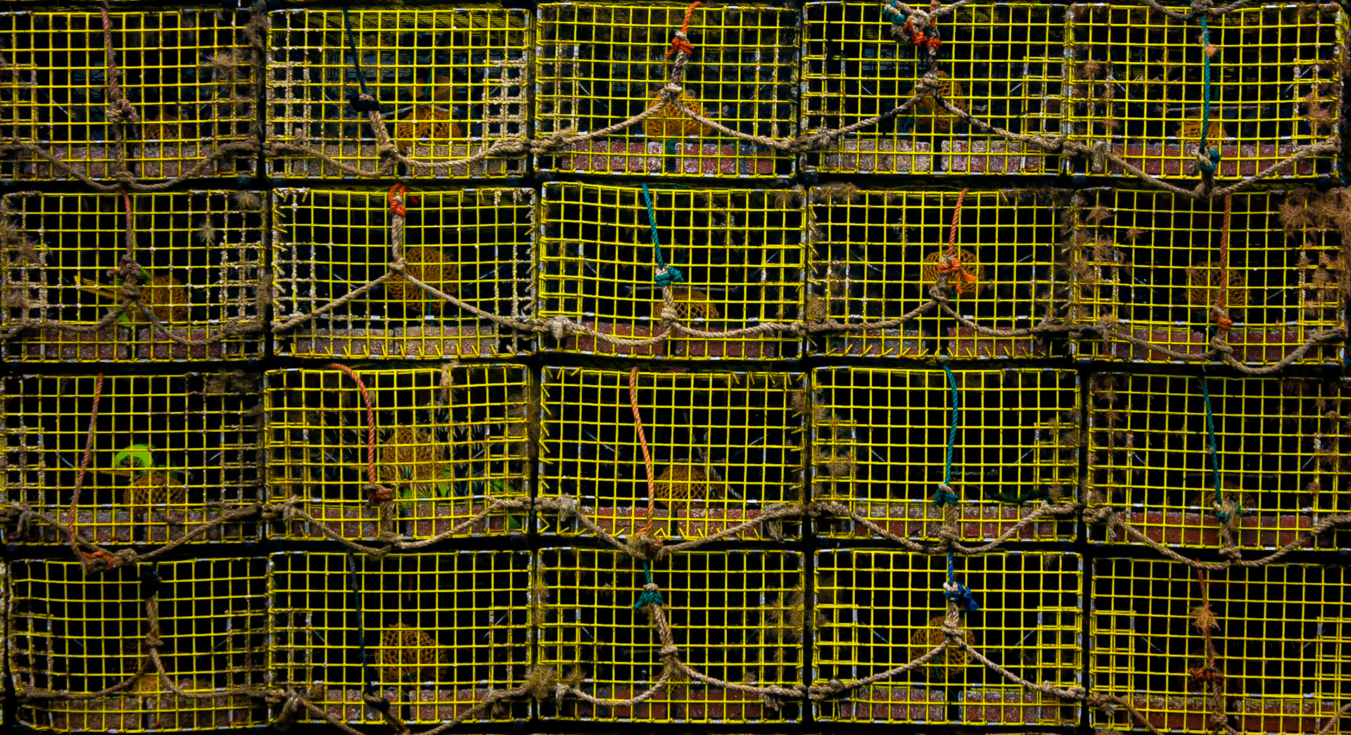 Ready For The Lobsters