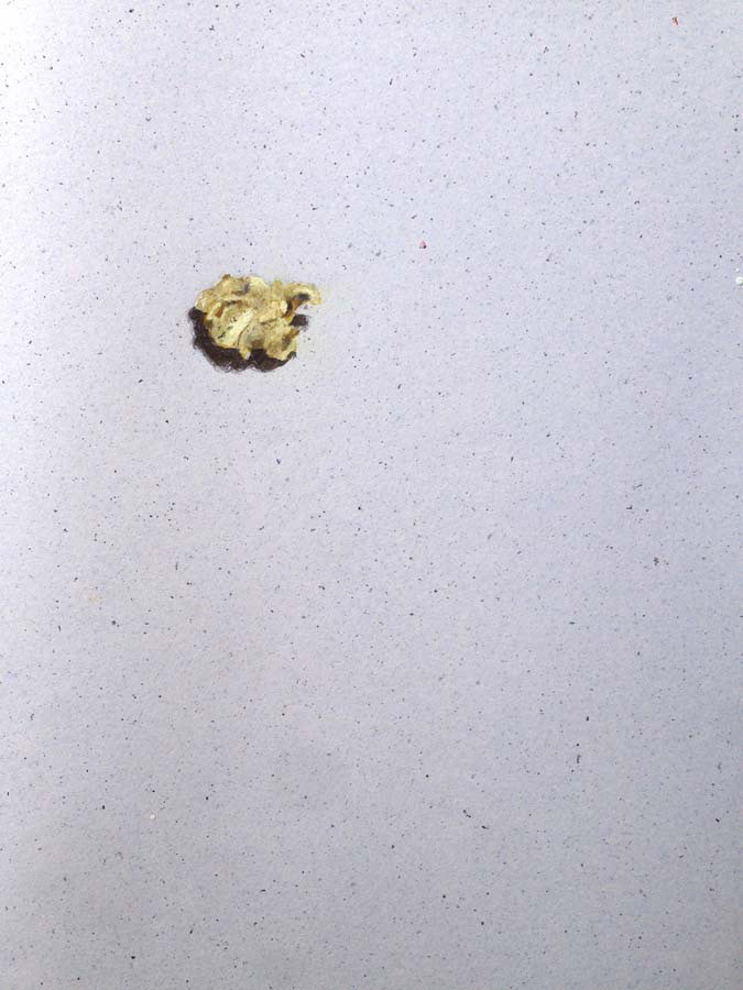 popcorn. 25.03.2016.