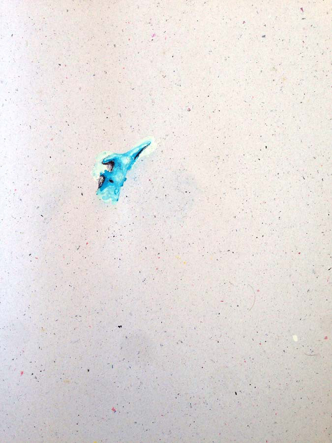 toothpaste spot. 31.12.2015.