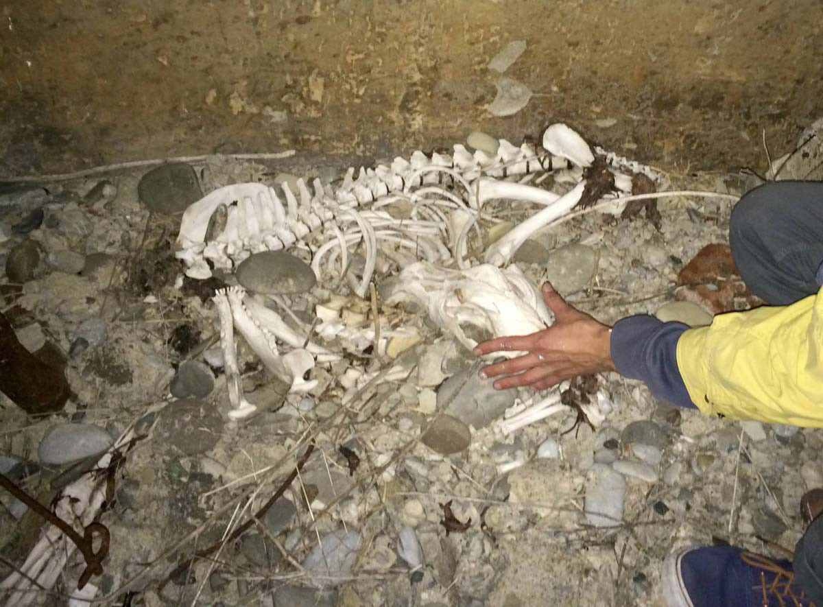 Udabno, Georgia, 2014