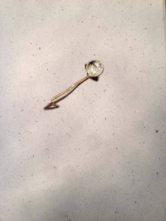small salt spoon. 26.07.2016.