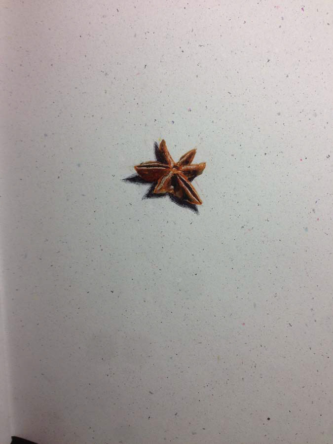 star anise. 31.07.2016.