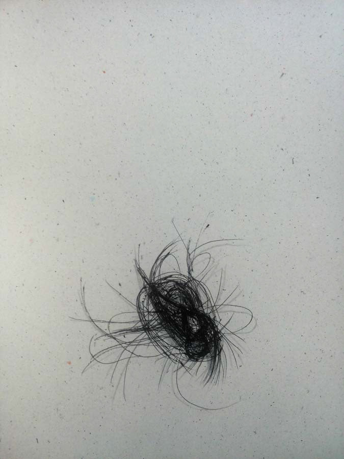 today I cleaned my shower filter. This was my my hair. 01.06.2016.