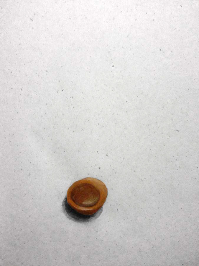toffifee candy. 24.02.2016.