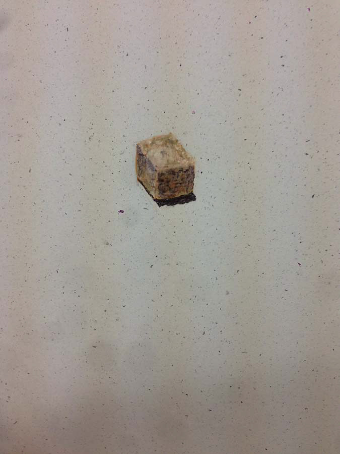 brown sugar cube. 29.08.2016.