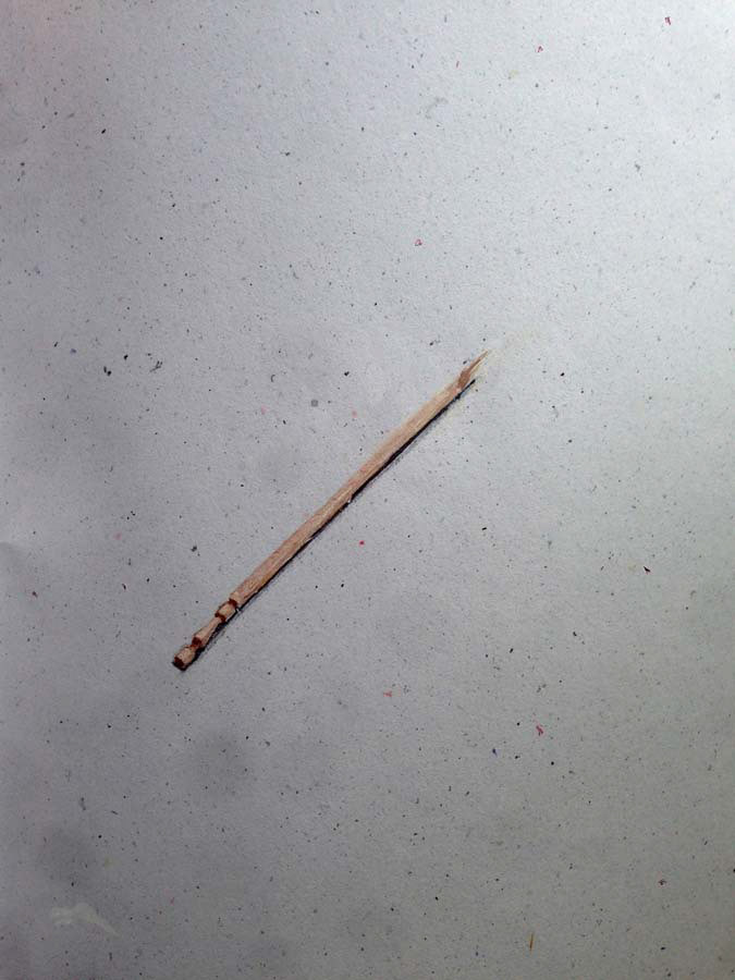 second part of the broken stick to eat fruits off of. 06.08.2016.