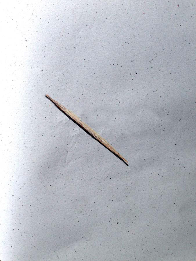 toothpick. 29.09.2015.