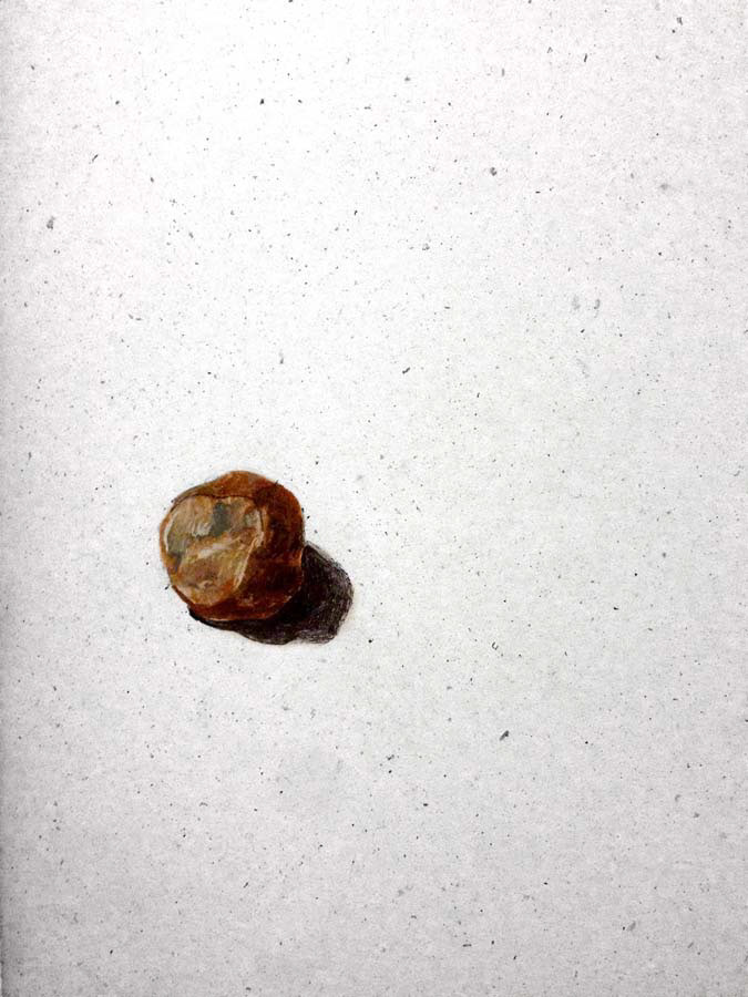 alfred's chestnut. 11.02.2016.