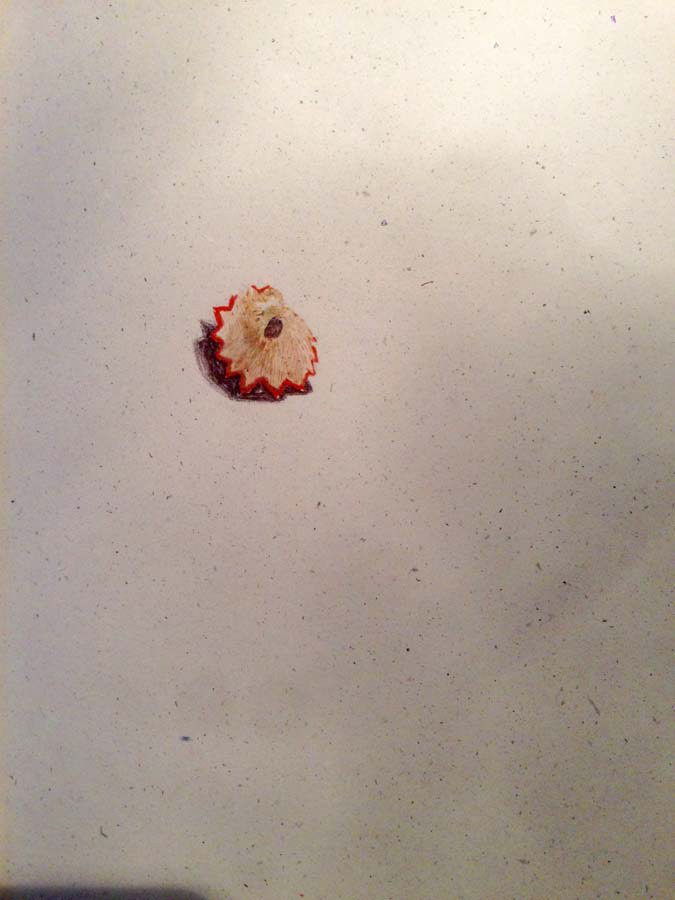 pencil sharpening leftover. 21.07.2016.