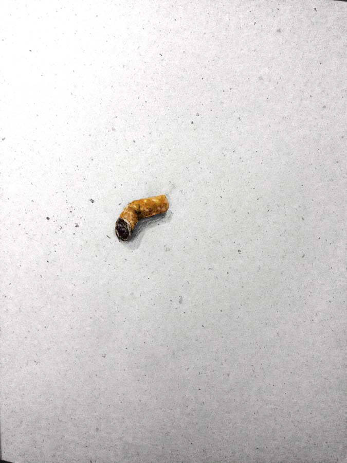 used cigarette. 01.03.2016.