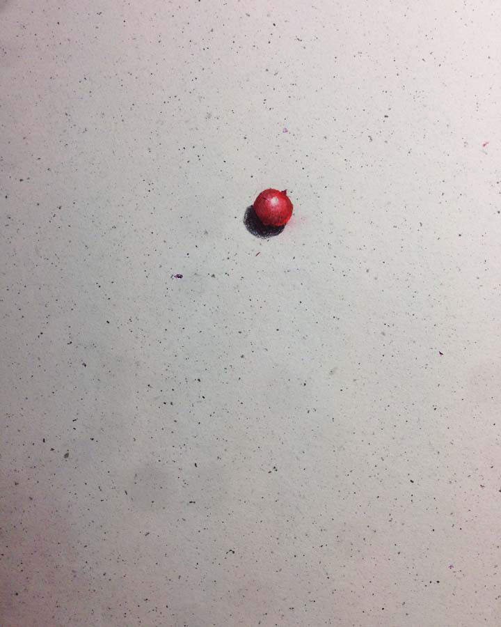 red bilberry. 11.09.2016.
