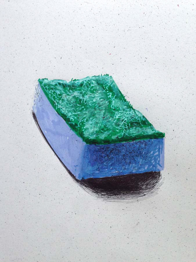 dish sponge. 10.10.2015.