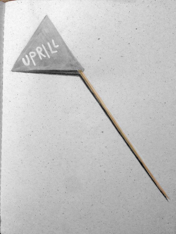 a flag that was attached to a cactus I won recently. 04.04.2016.