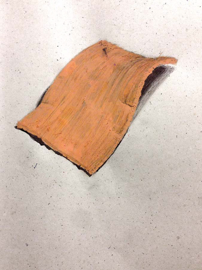 molders's dried dish cloth. 13.01.2016.