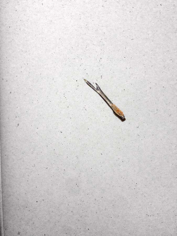 something on Linda's table. Probably for anti-sewing. 08.02.2016.