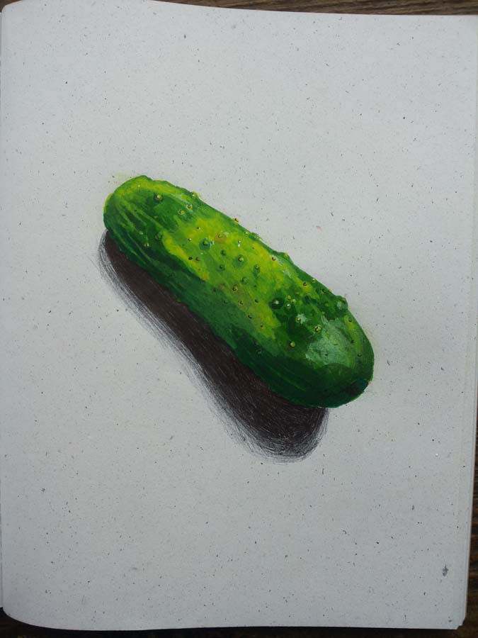 cucumber. 21.05.2016.