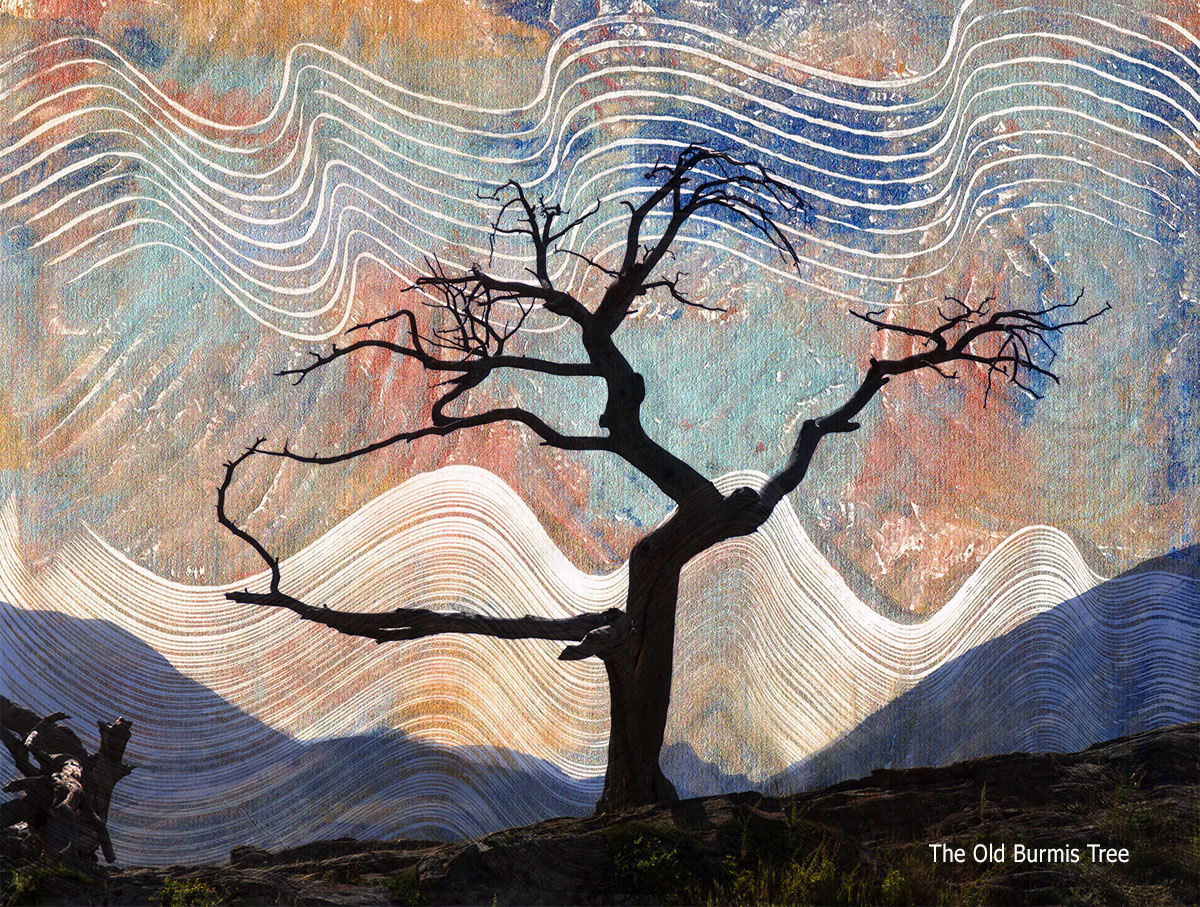 original sold - reproductions available