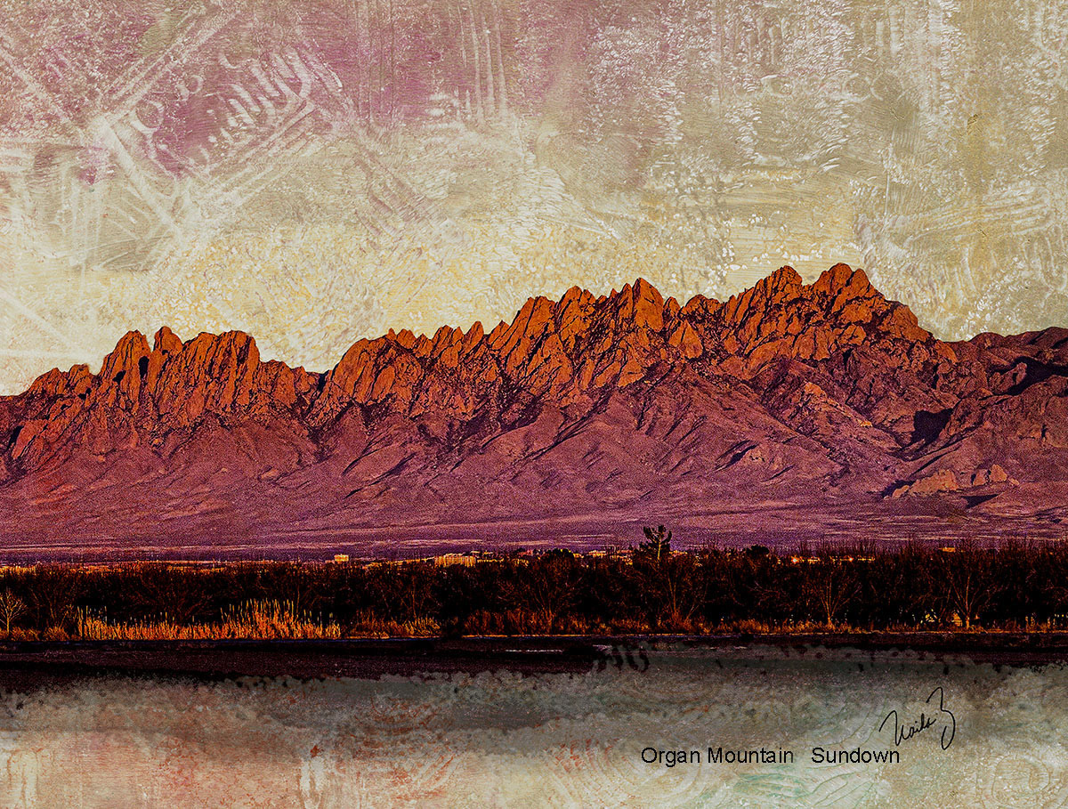 18x15 art in 24x21 frame     $395
