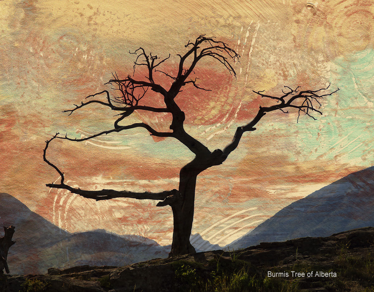 original sold - reproductions available