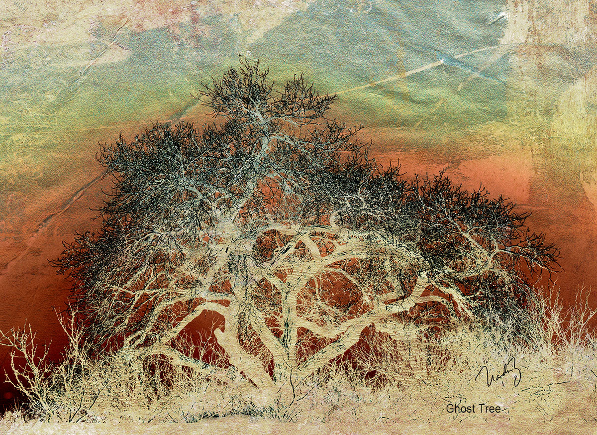 9x7 art in 15x12 frame      $145