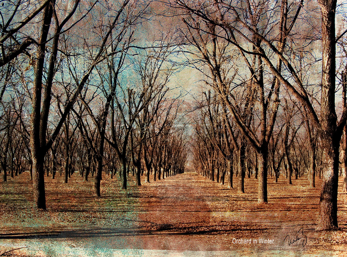 8x7 art in 18x15 frame  $245