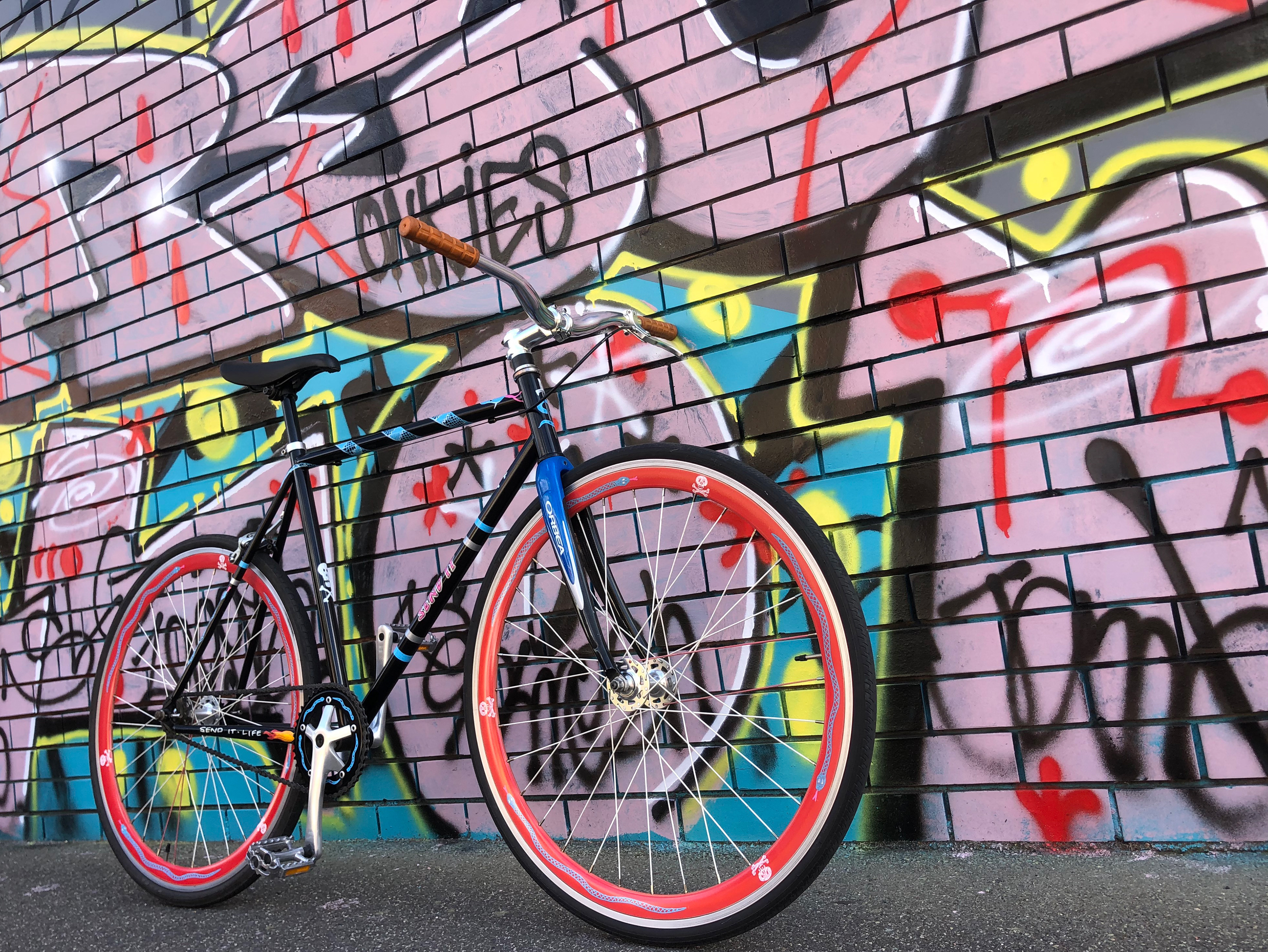 blend in or stand out?