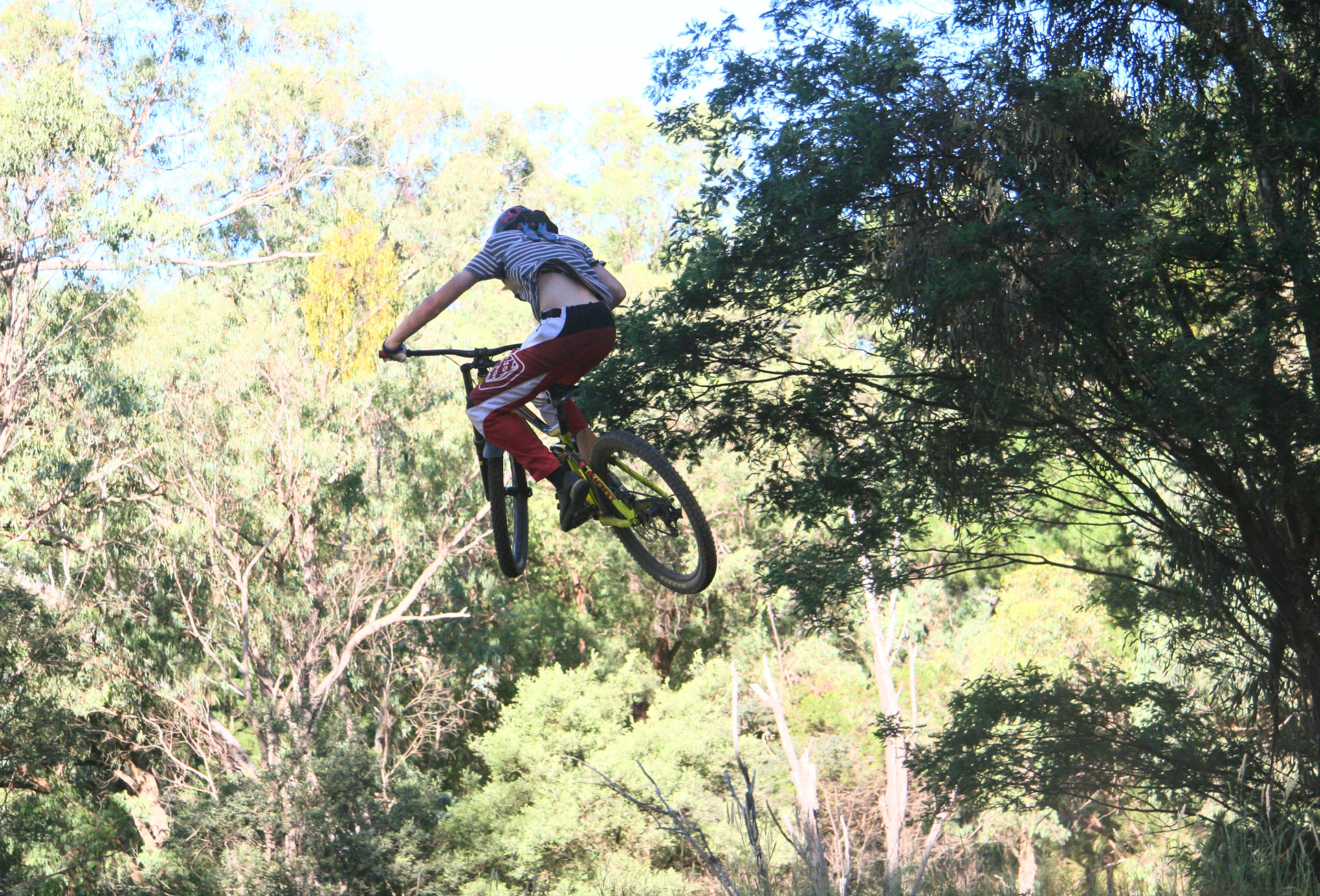 Tyler