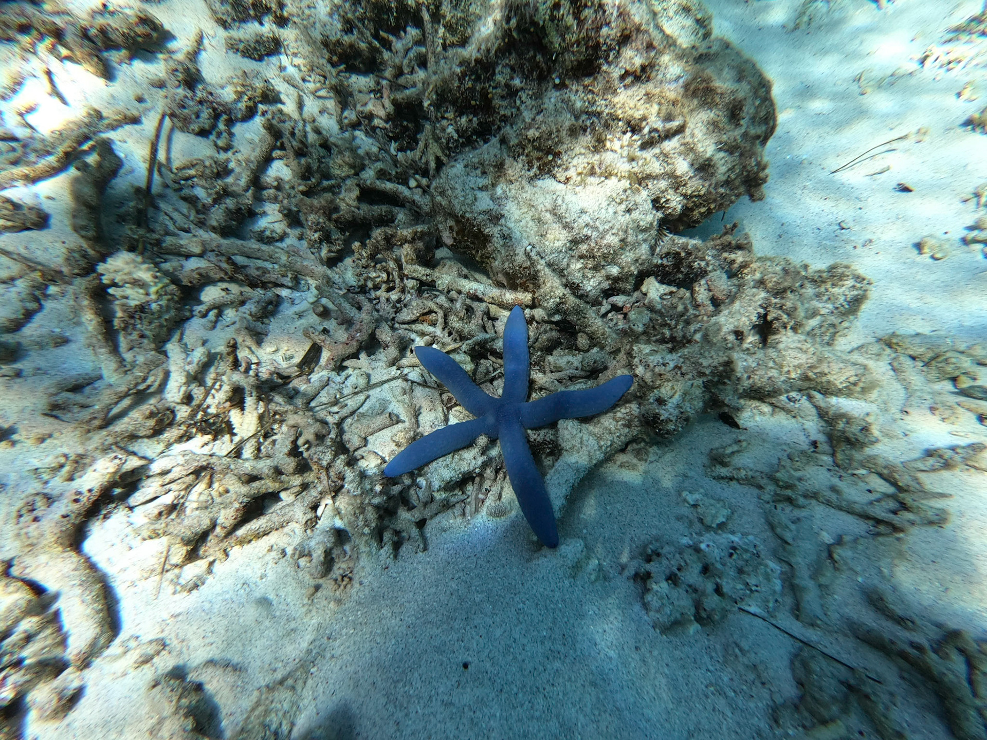 DCIM\100GOPRO\GOPR0257.JPG