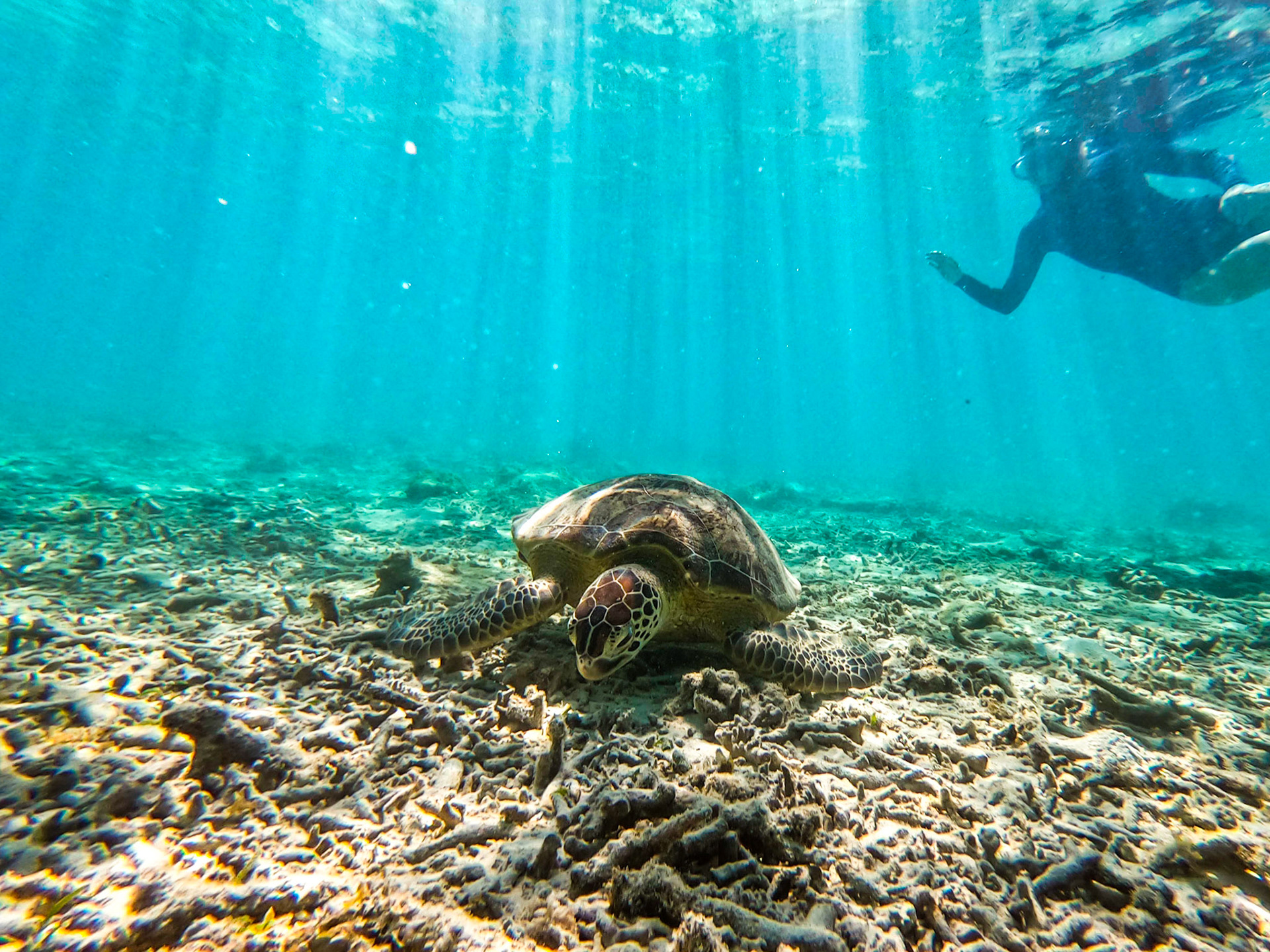 DCIM\100GOPRO\GOPR0234.JPG