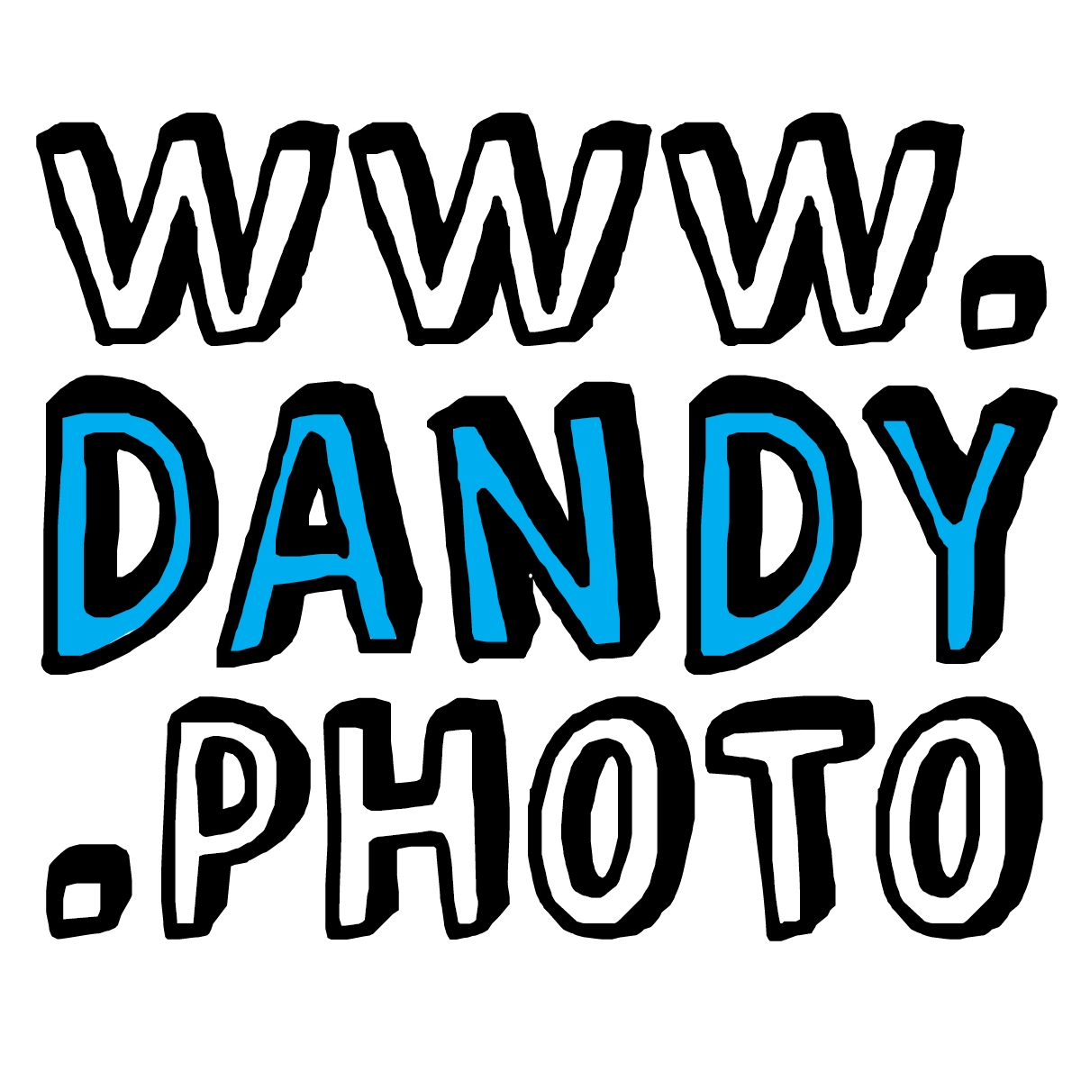 dandy . photo