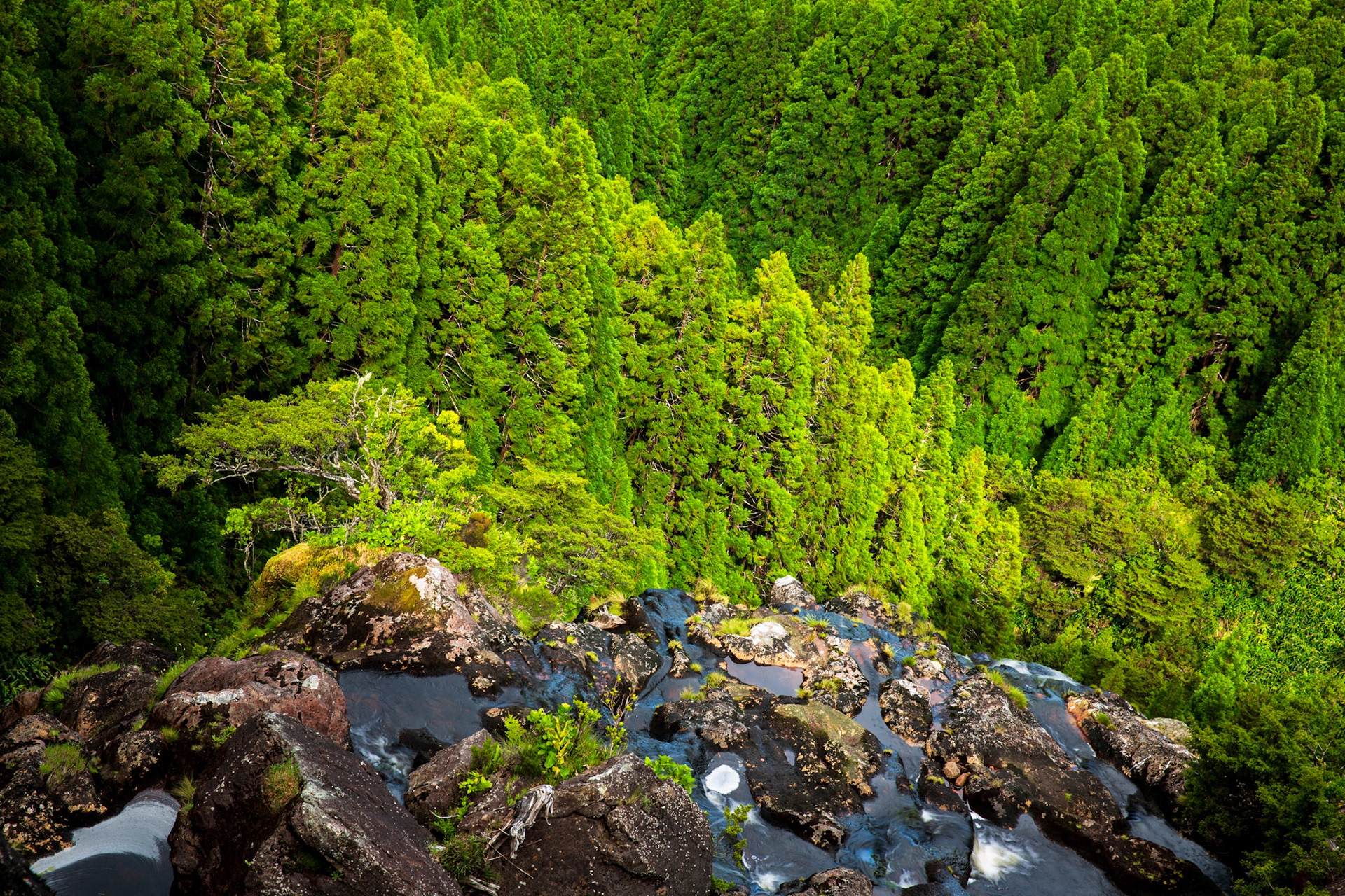 Edge of Ribeira do Além. Flores, Azores, Portugal