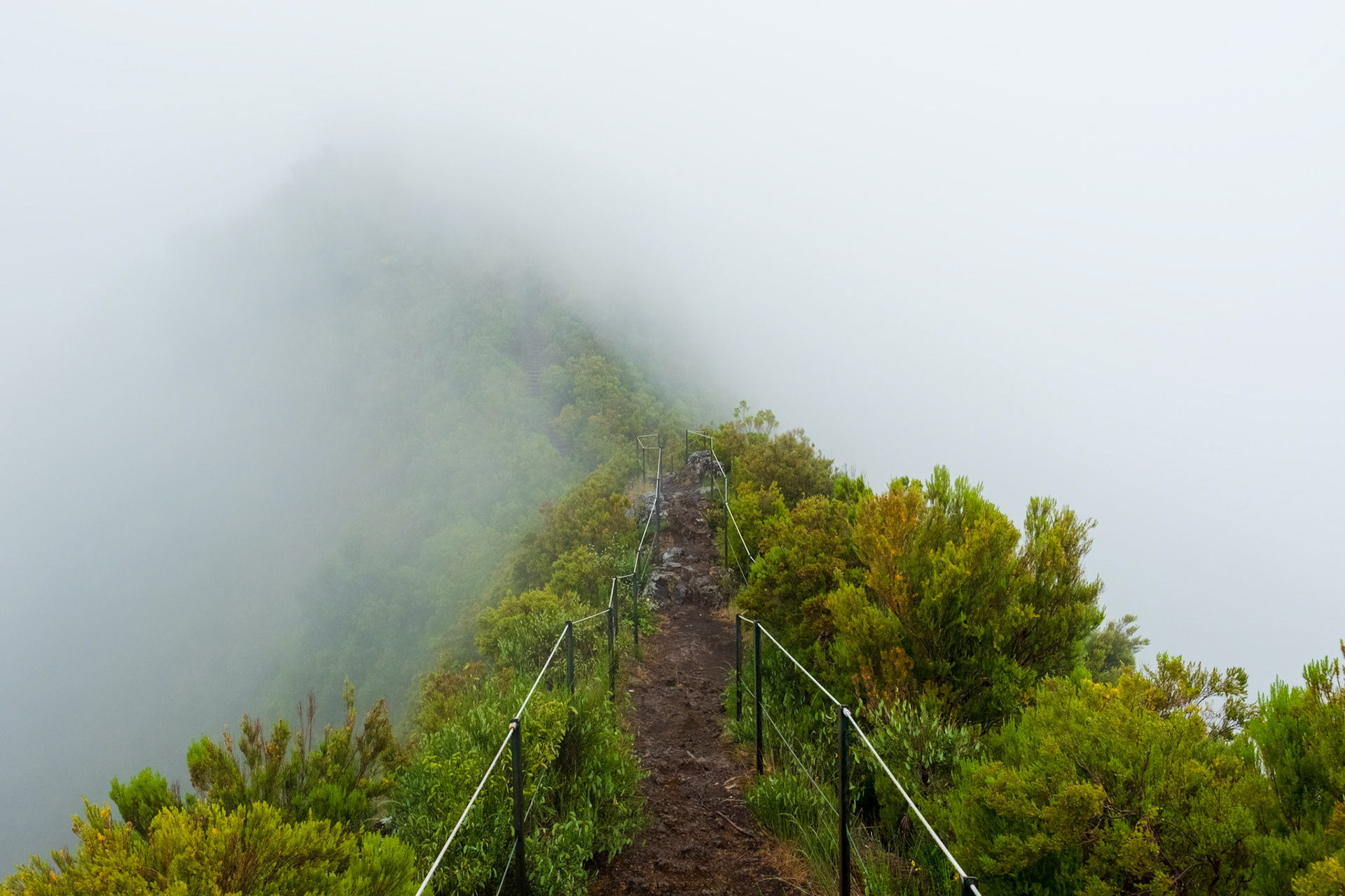 Madeira, Portugal - 12 June 2017: Hill covered with fog along Pináculo and Folhadal trek