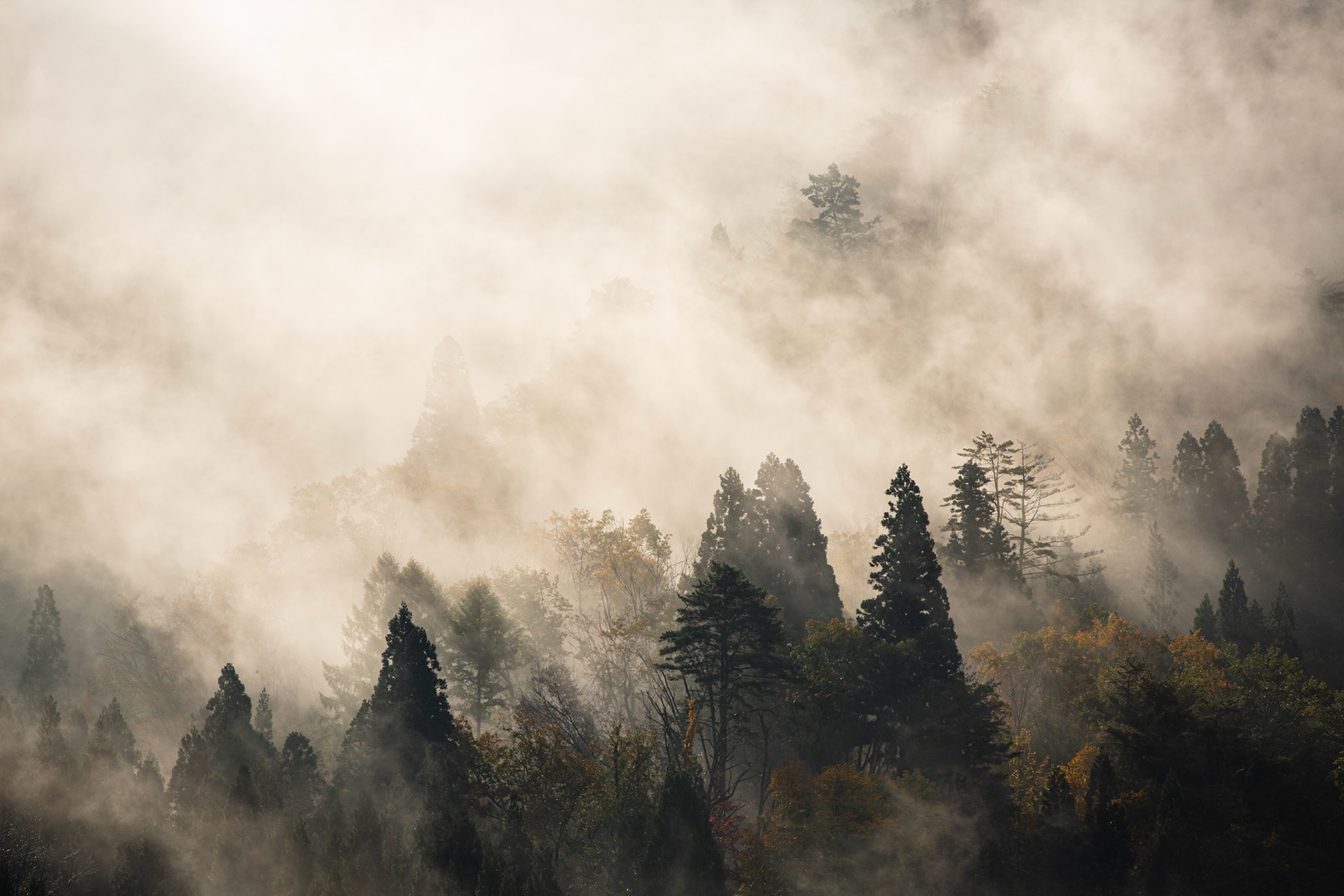 Foggy morning in Shirakawa-Go. Japan