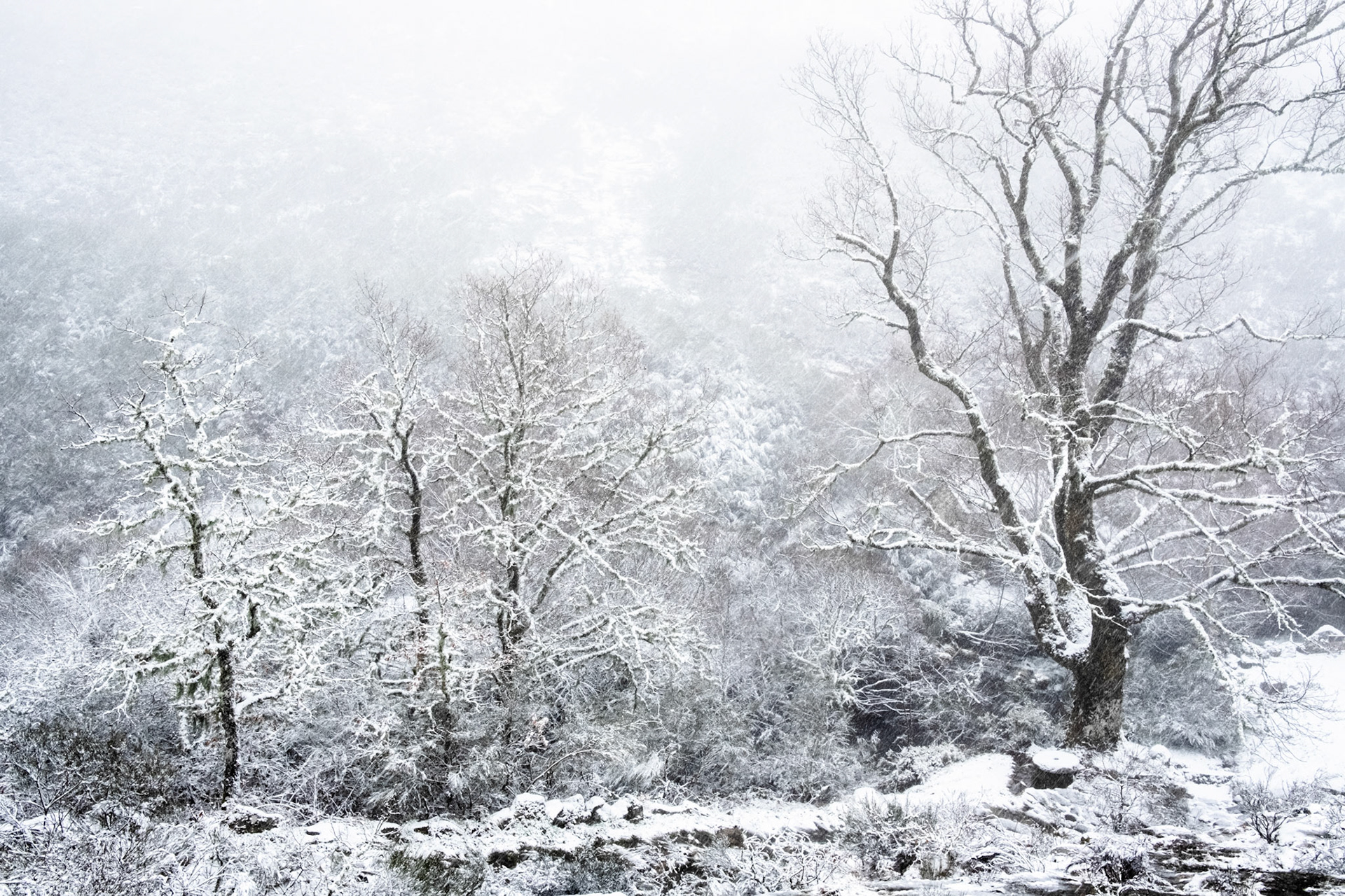 Gerês, Portugal - 30 March 2018: Heavy snow at Gerês National Park