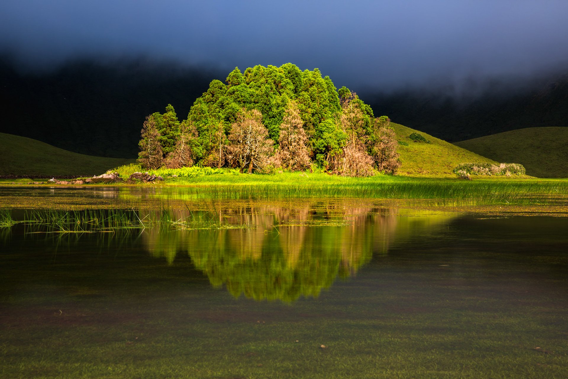 Island of trees reflected inside Corvo Caldera. Azores, Portugal