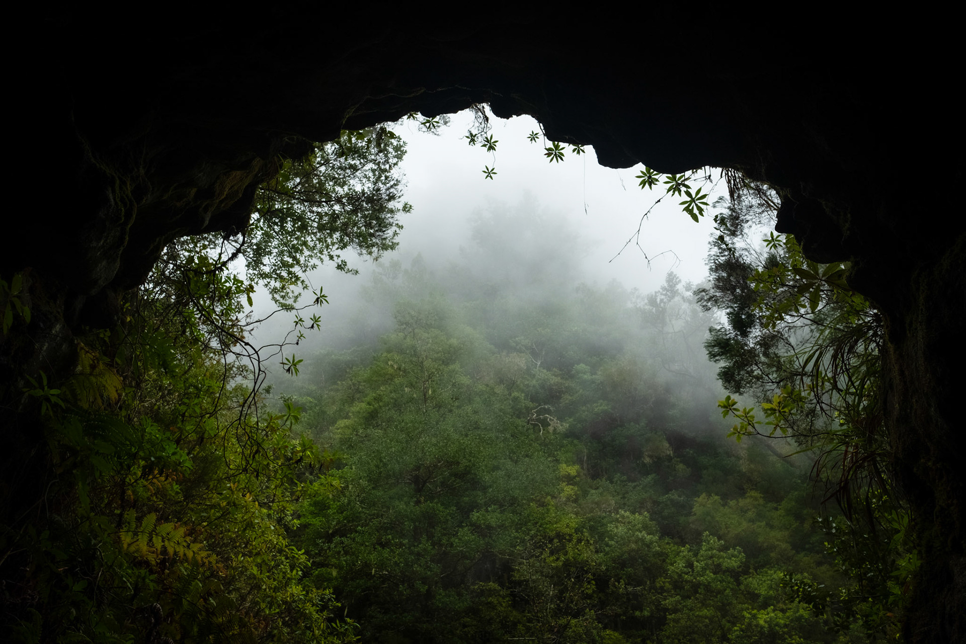 Madeira, Portugal - 12 June 2017: Leaving a tunnel at Pináculo and Folhadal trek