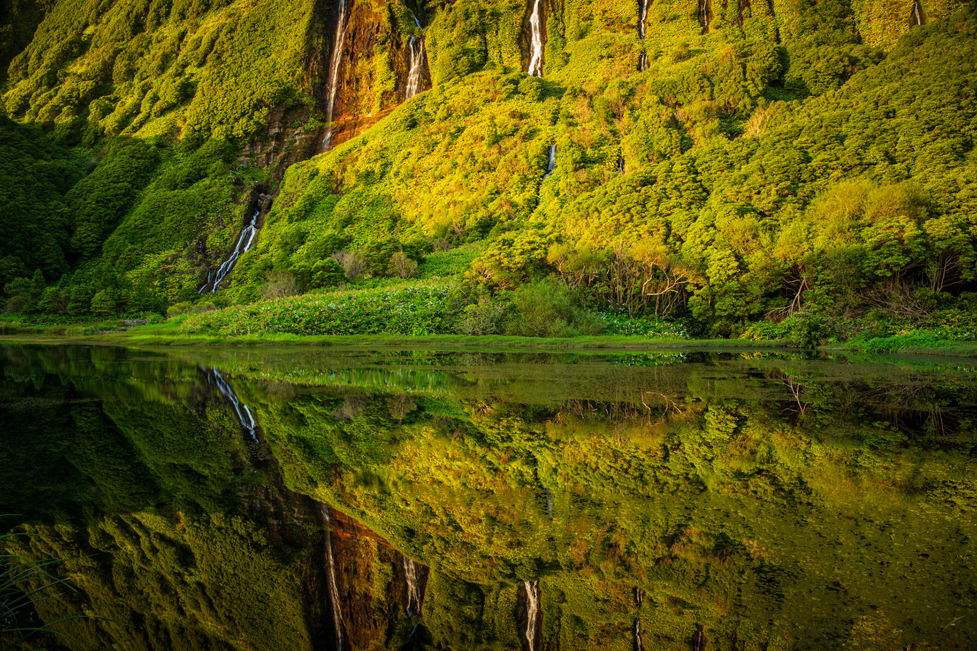 Poço da Alagoinha reflection. Flores, Azores, Portugal