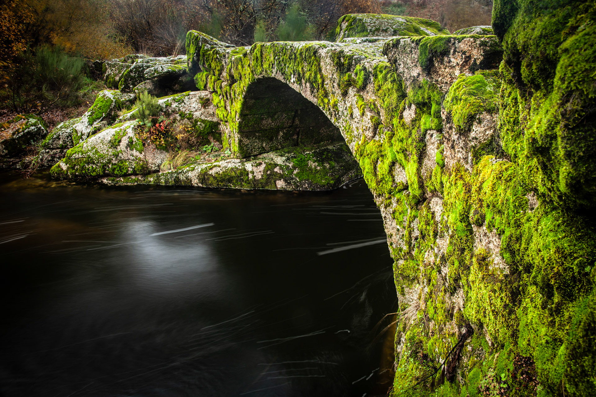 Roman bridge covered by green moss. Frades, Montalegre, Portugal