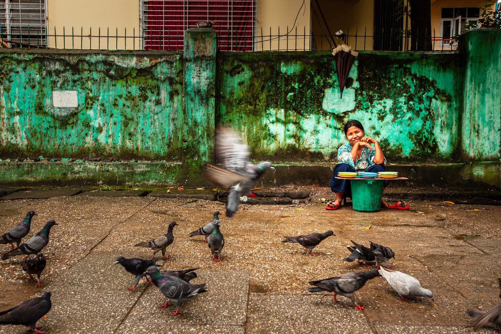 Woman feeding pigeons in Yangon. Myanmar
