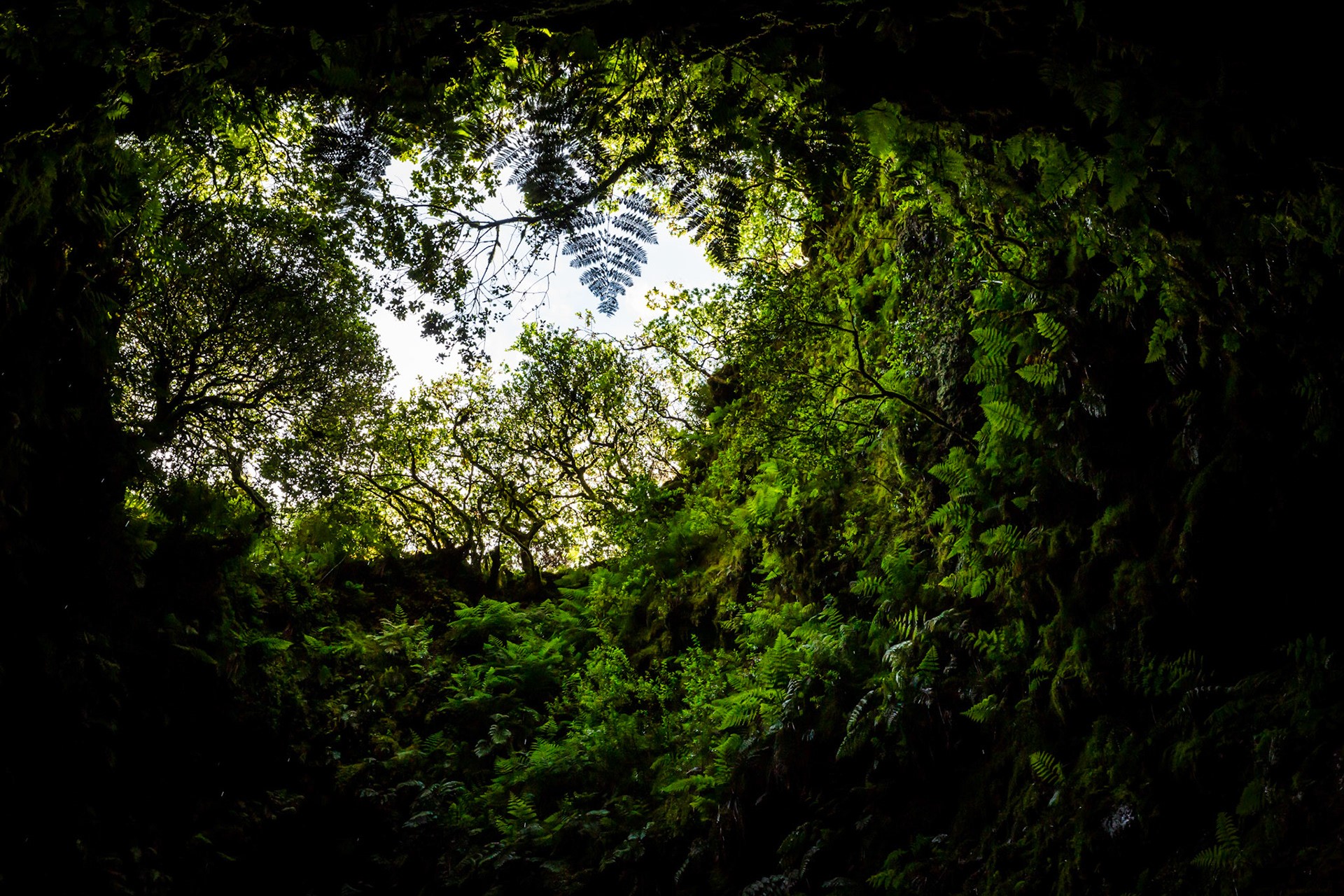 Algar do Carvão volcanic chimney entrance. Terceira, Azores, Portugal