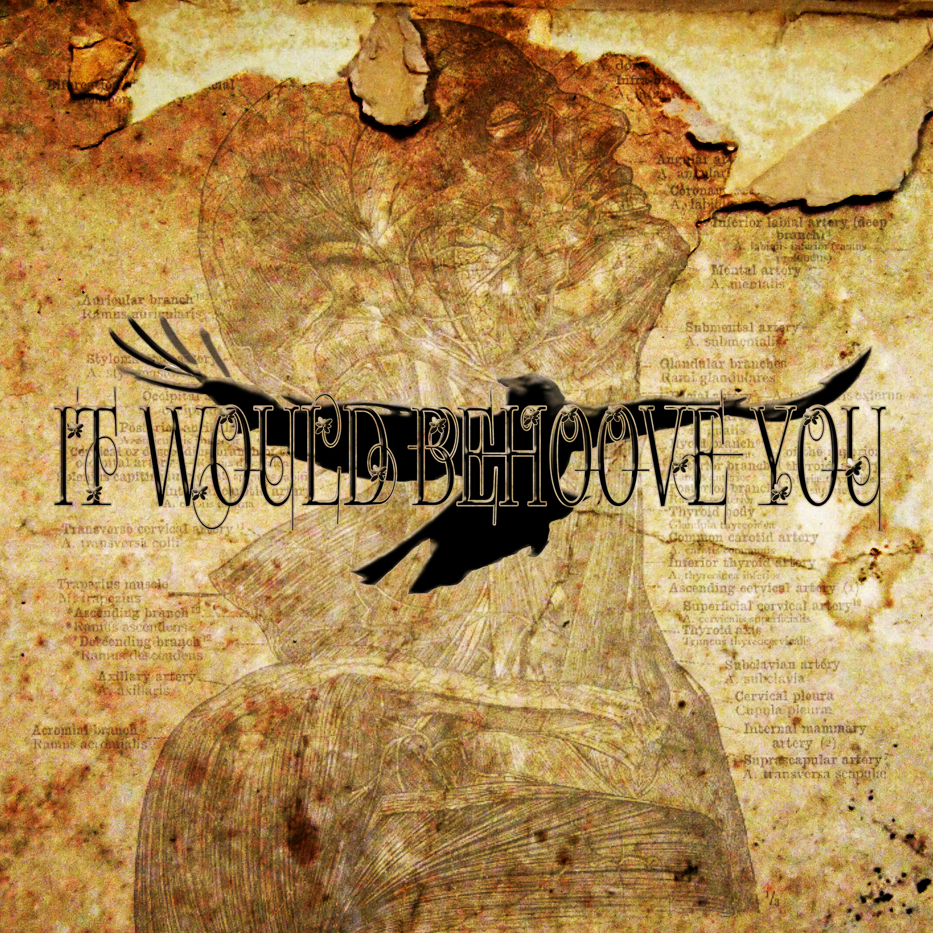 CD Cover Image