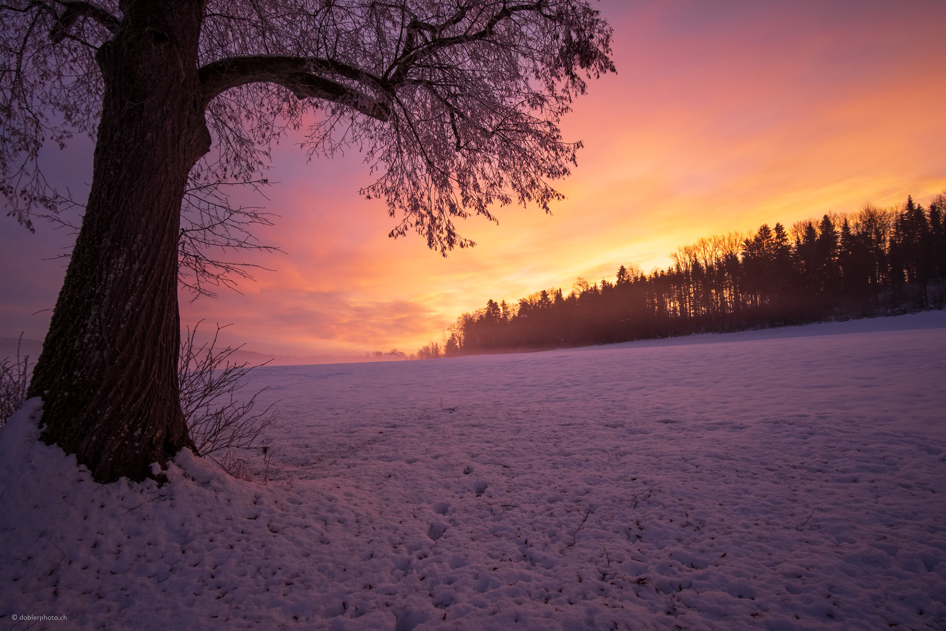 Winter Sonnenuntergang