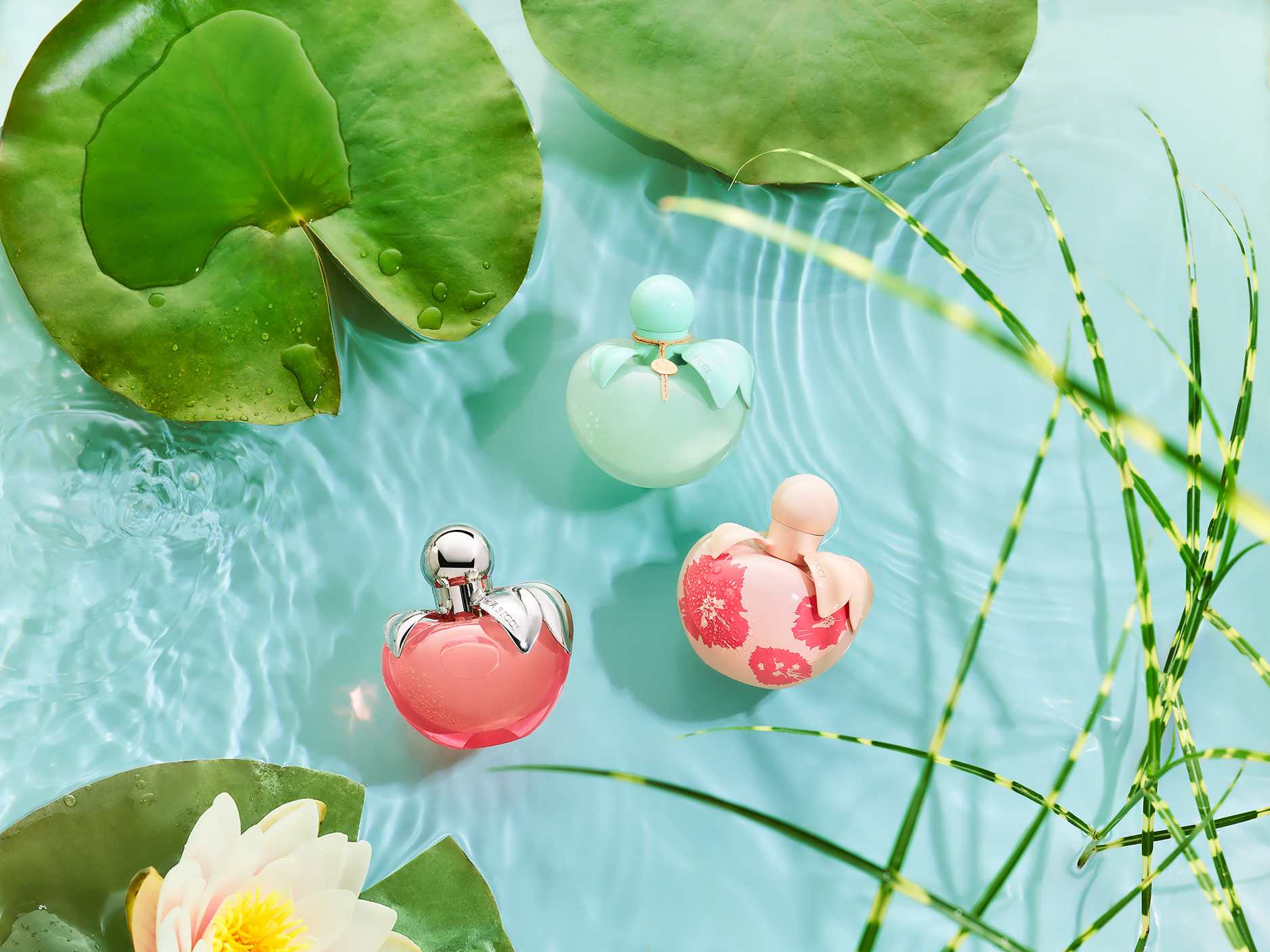 Nina Ricci Parfums : Nina Nature, photographie de nature morte, parfum, photographie d'un flacon Nina Ricci entouré de plantes et fleurs - PALAST PHOTOGRAPHIE, Paris France