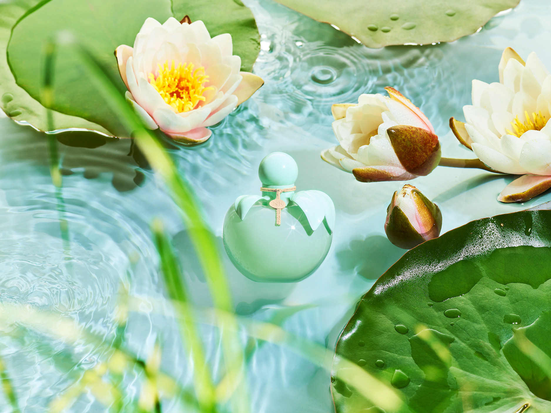 Nina Ricci Parfums : Nina Nature, photographie de nature morte, parfum, photographie d'un flacon Nina Ricci entouré de plantes et fleurs - PALAST PHOTOGRAPHIE, Paris France