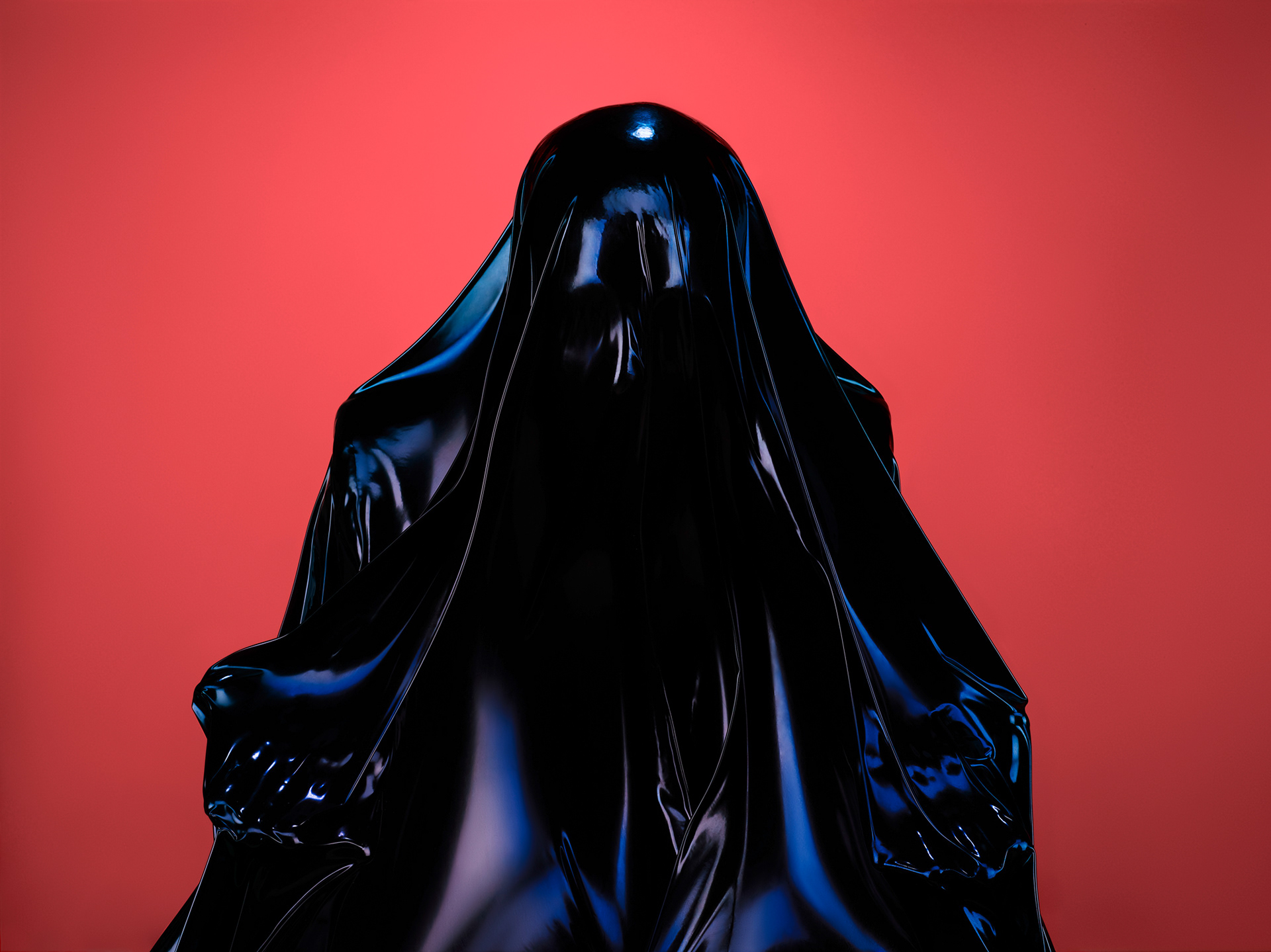 Still life photography, Palast photographie, Rise, ephemeral sculpture recalling bas reliefs from classical sculpture, black on red background , Paris, France