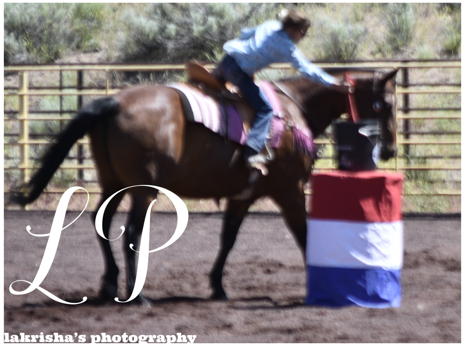 6-16-24 Gymkhana