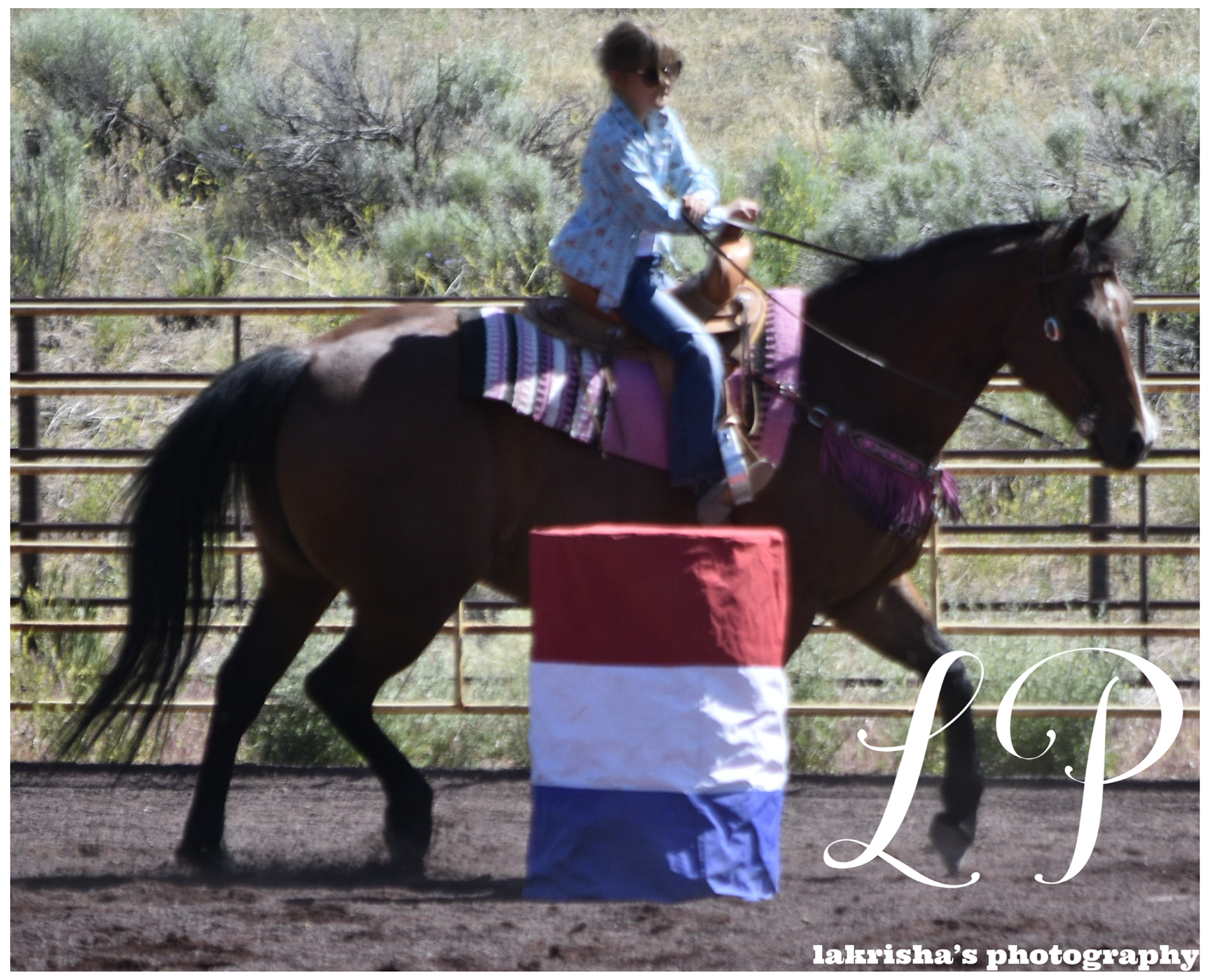 6-16-24 Gymkhana